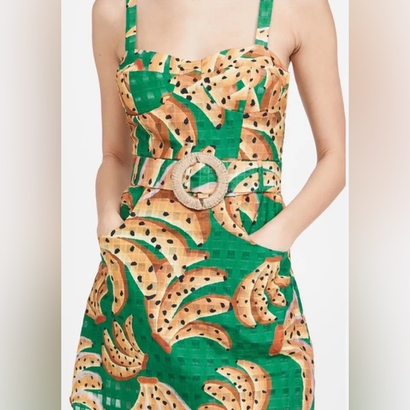 FARM Rio A-Line Dress Green Raining Bananas XL - NO BELT - Picture 2 of 7